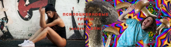 ешки Алексин