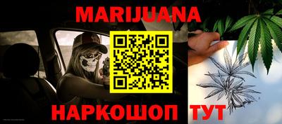 сатива Лесосибирск