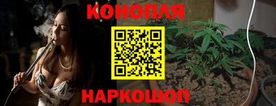 сатива Лесосибирск
