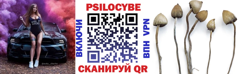 Галлюциногенные грибы Magic Shrooms  Дзержинский 